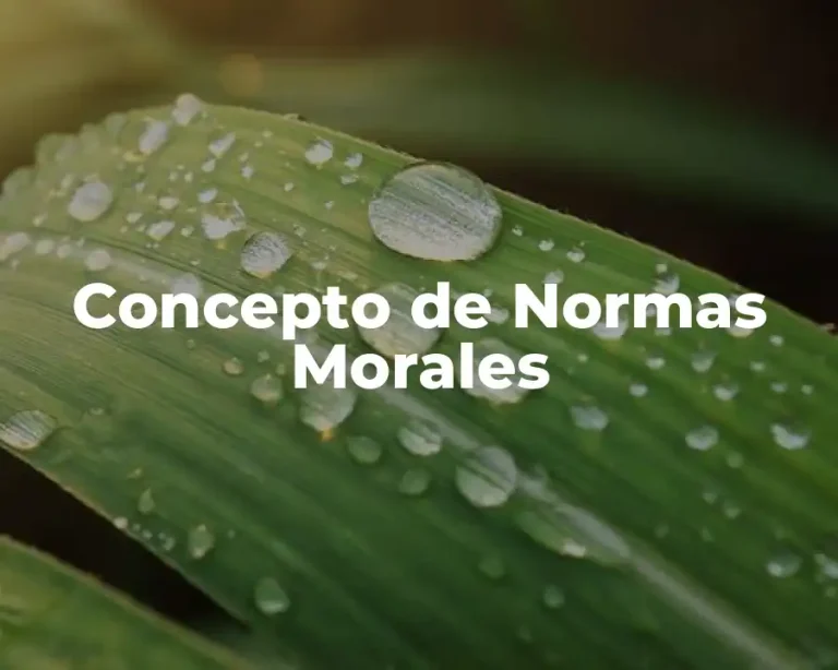 Concepto de Normas Morales