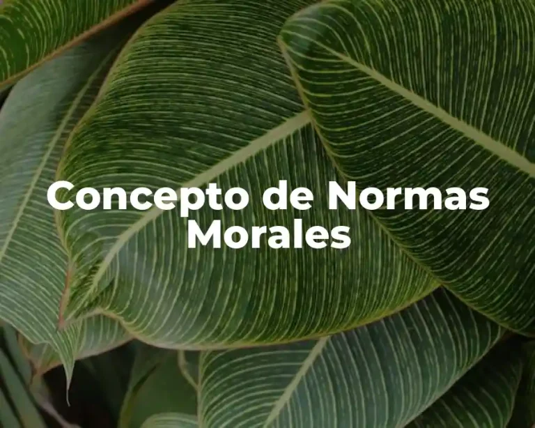 Concepto de Normas Morales
