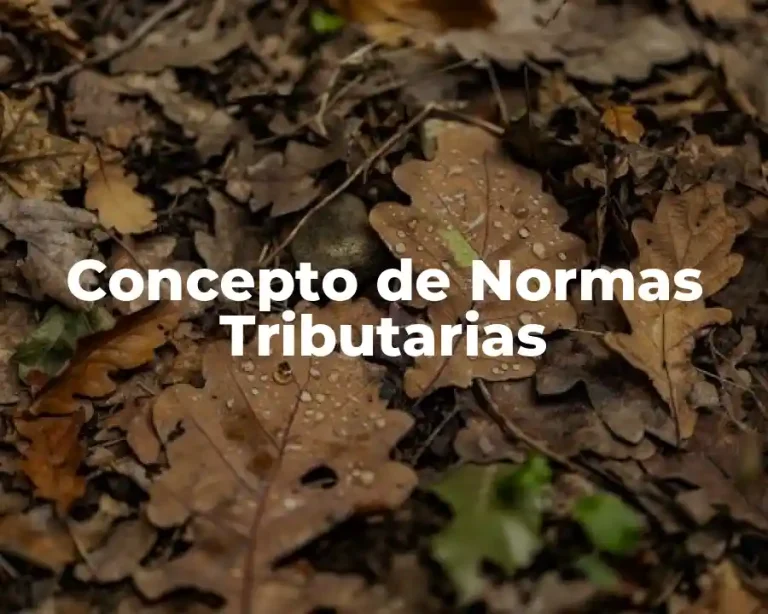 Concepto de Normas Tributarias