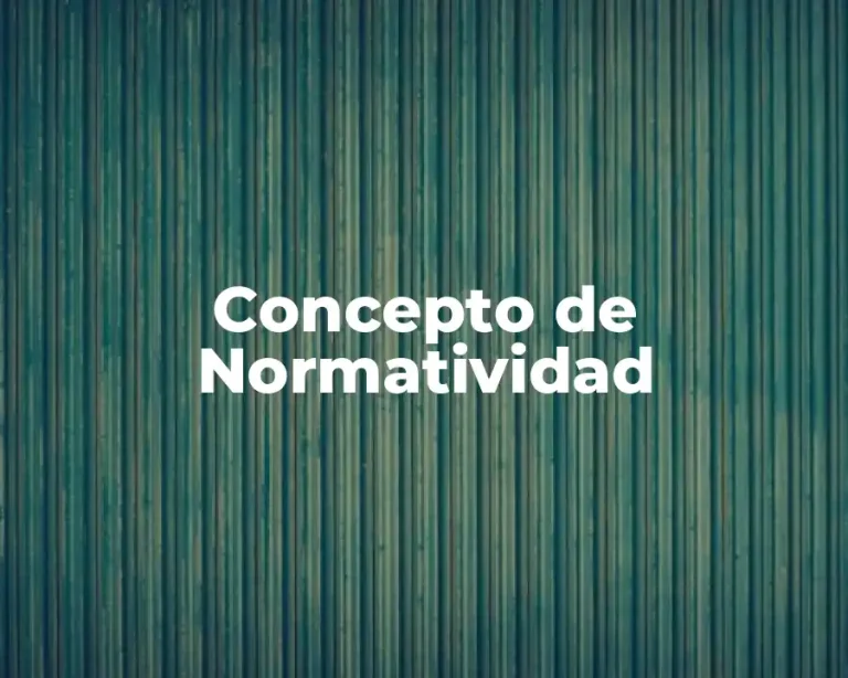 Concepto de Normatividad
