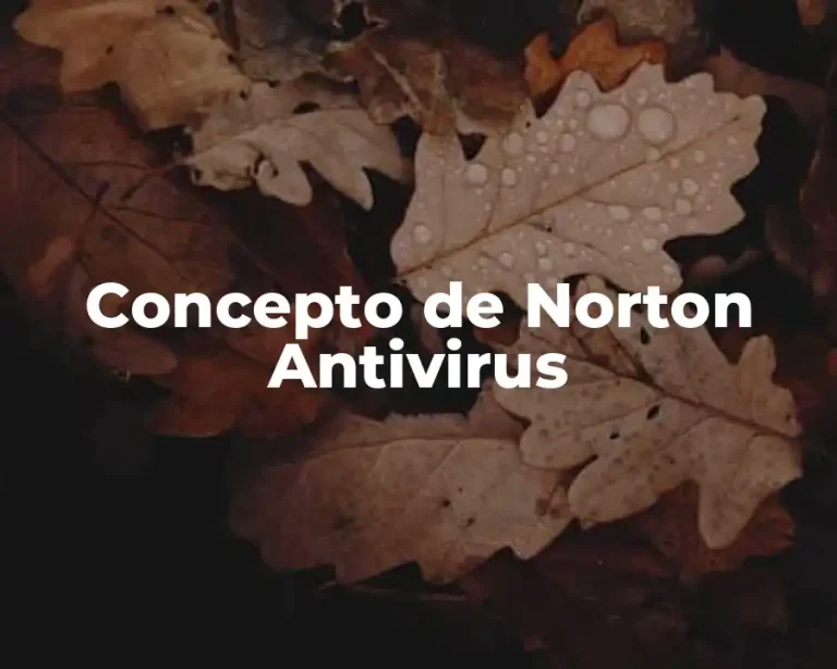 Concepto de Norton Antivirus