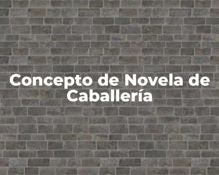 Concepto de Novela de Caballería