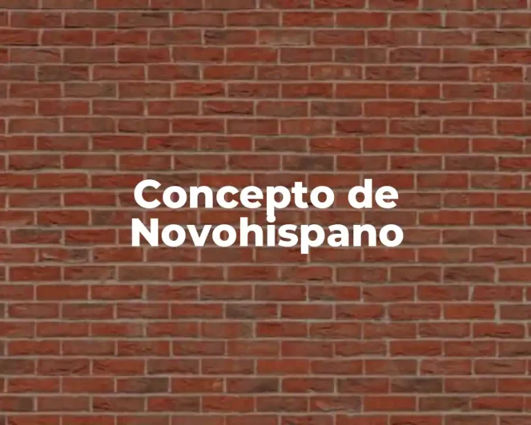 Concepto de Novohispano