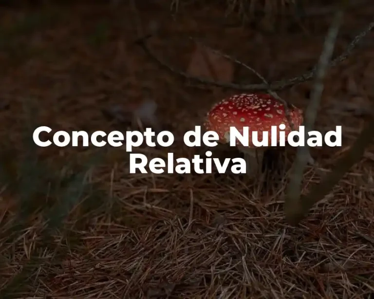 Concepto de Nulidad Relativa