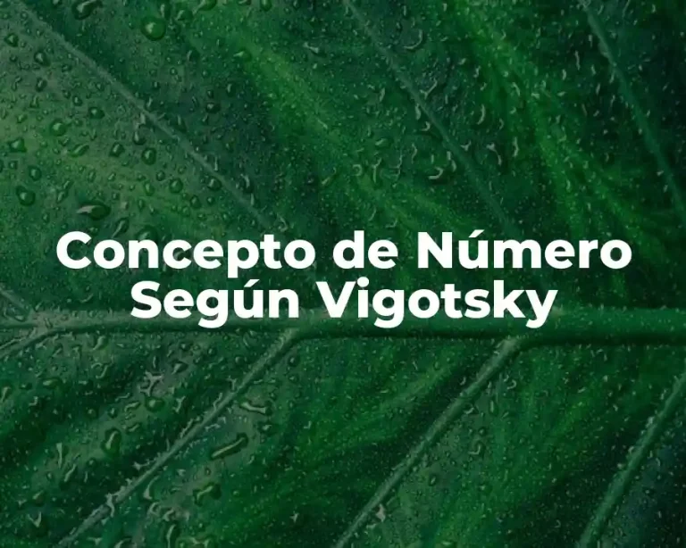 Concepto de Número Según Vigotsky