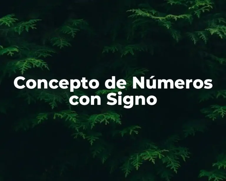 Concepto de Números con Signo