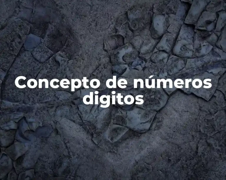 Concepto de números digitos