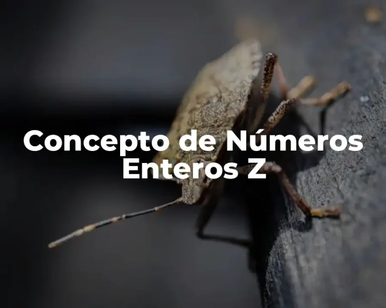 Concepto de Números Enteros Z