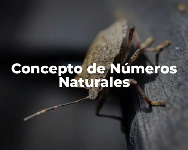 Concepto de Números Naturales