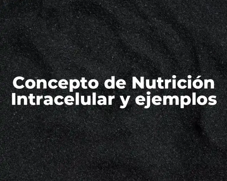 Concepto de Nutrición Intracelular y ejemplos
