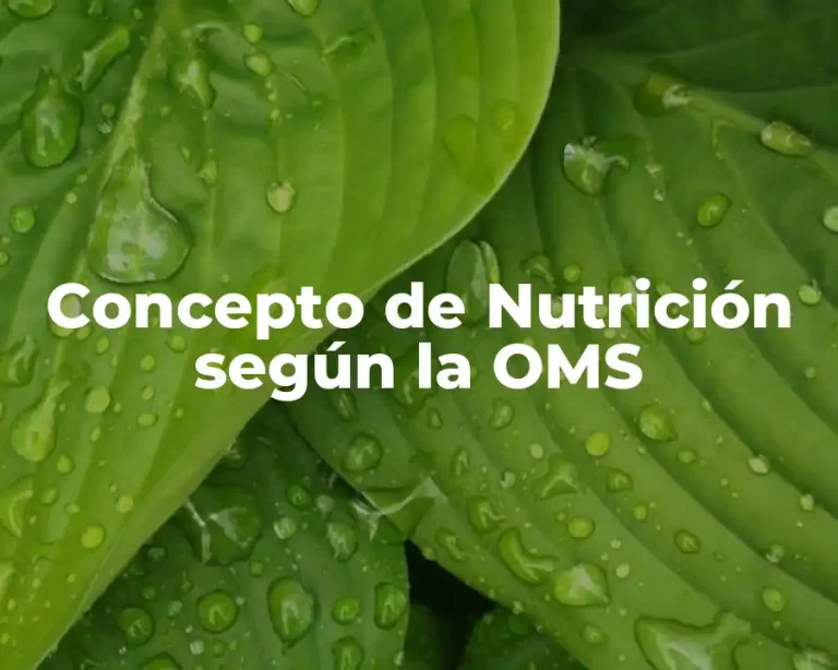 Concepto de Nutrición según la OMS