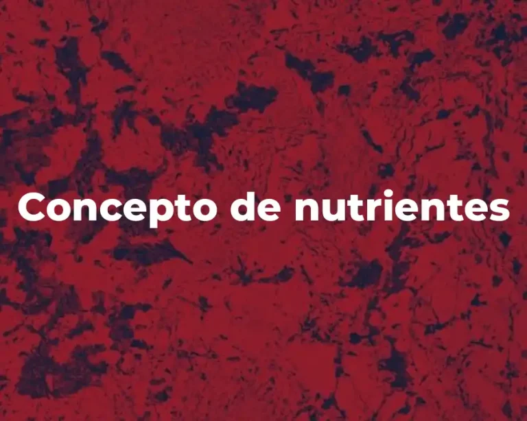 Concepto de nutrientes