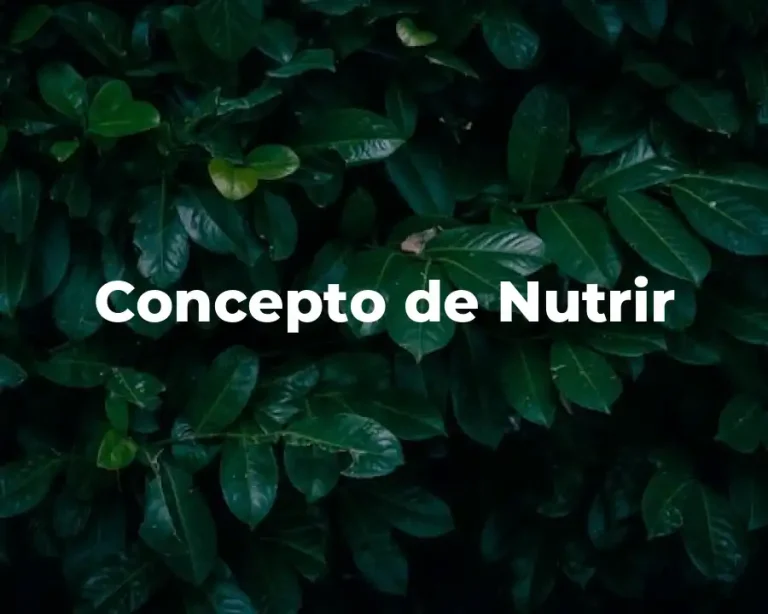 Concepto de Nutrir