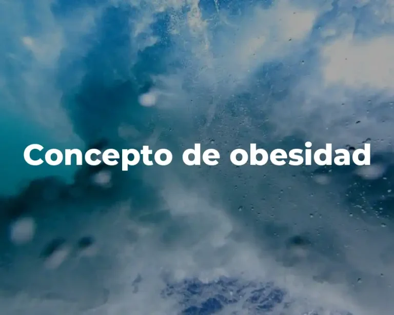 Concepto de obesidad