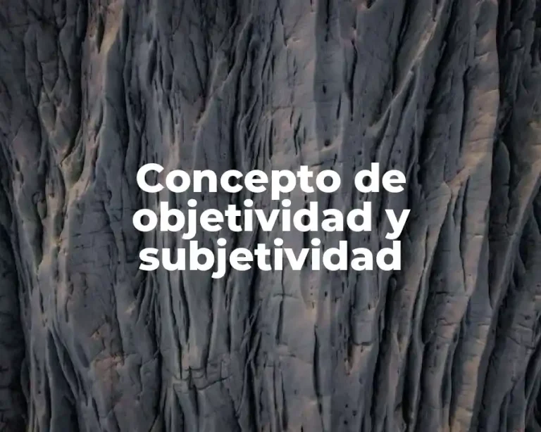 Concepto de objetividad y subjetividad