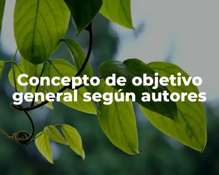 Concepto de objetivo general según autores