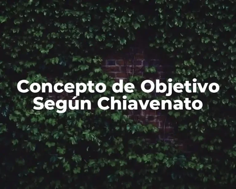 Concepto de Objetivo Según Chiavenato