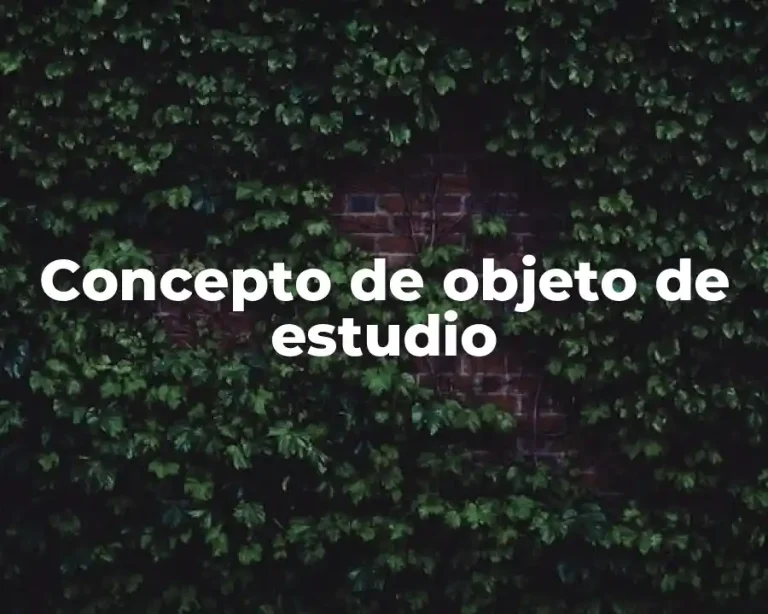 Concepto de objeto de estudio