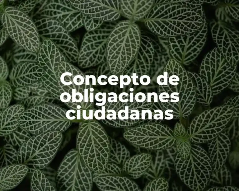 Concepto de obligaciones ciudadanas