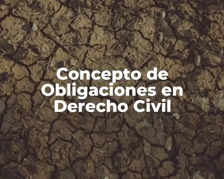 Concepto de Obligaciones en Derecho Civil