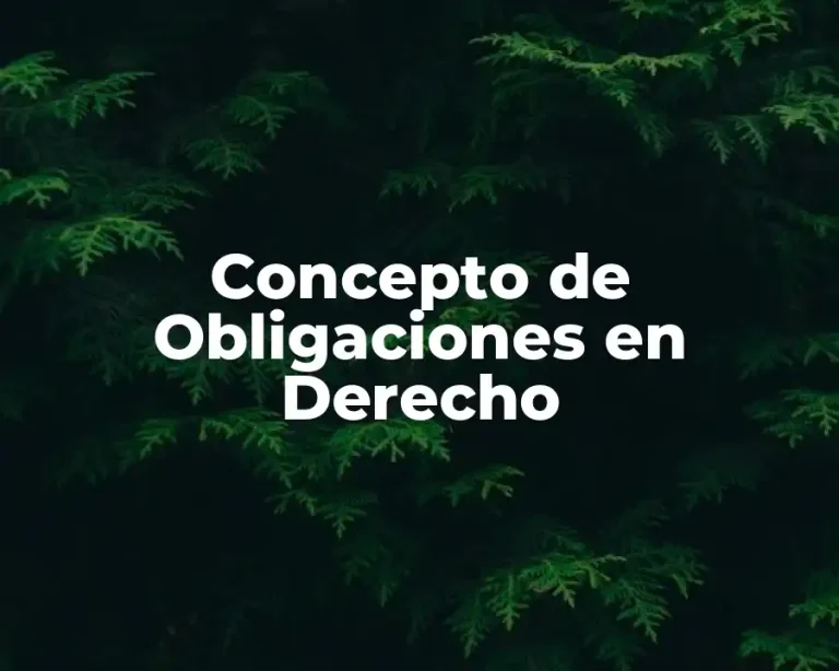 Concepto de Obligaciones en Derecho