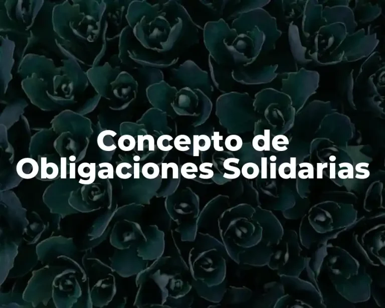 Concepto de Obligaciones Solidarias