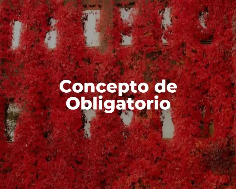 Concepto de Obligatorio