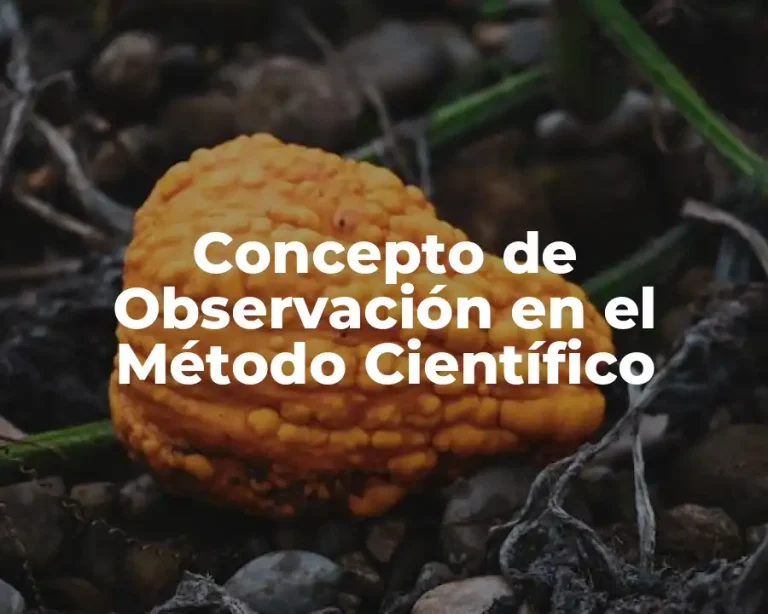 Concepto de Observación en el Método Científico