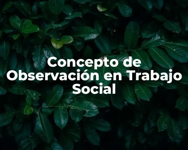 Concepto de Observación en Trabajo Social