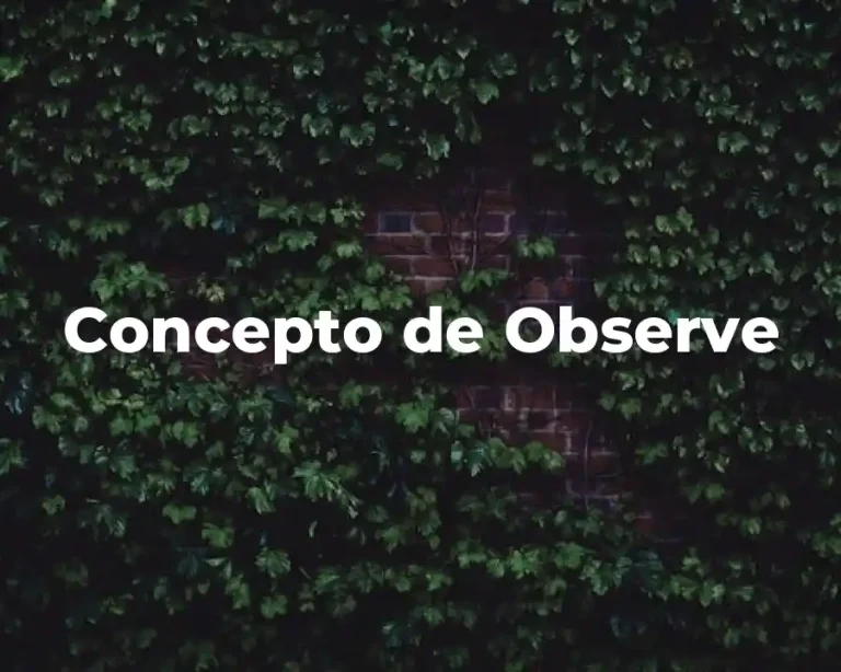 Concepto de Observe