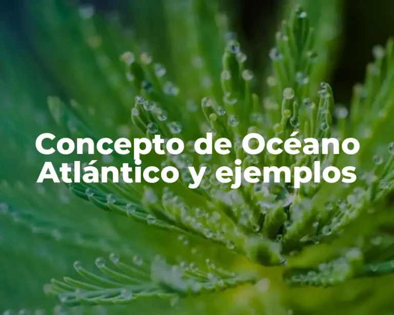 Concepto de Océano Atlántico y ejemplos