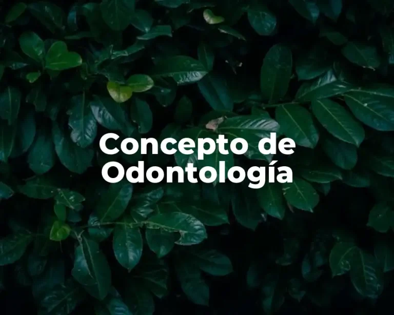 Concepto de Odontología