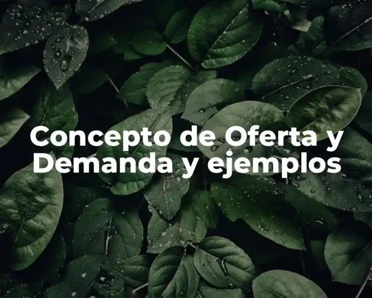 Concepto de Oferta y Demanda y ejemplos