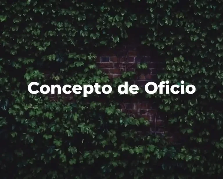 Concepto de Oficio