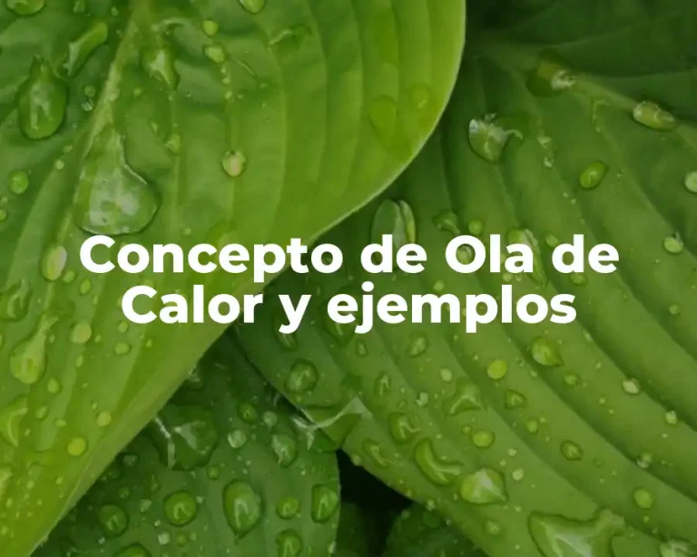 Concepto de Ola de Calor y ejemplos