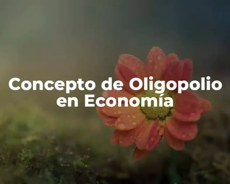 Concepto de Oligopolio en Economía