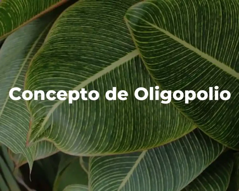 Concepto de Oligopolio