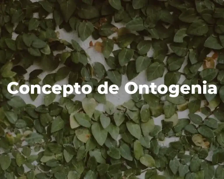 Concepto de Ontogenia