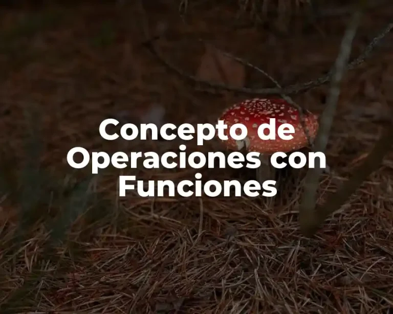 Concepto de Operaciones con Funciones