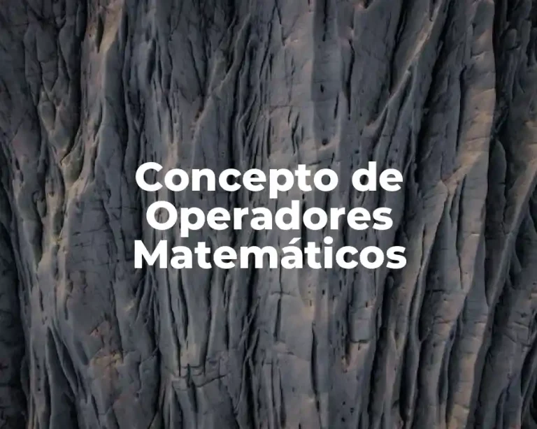 Concepto de Operadores Matemáticos