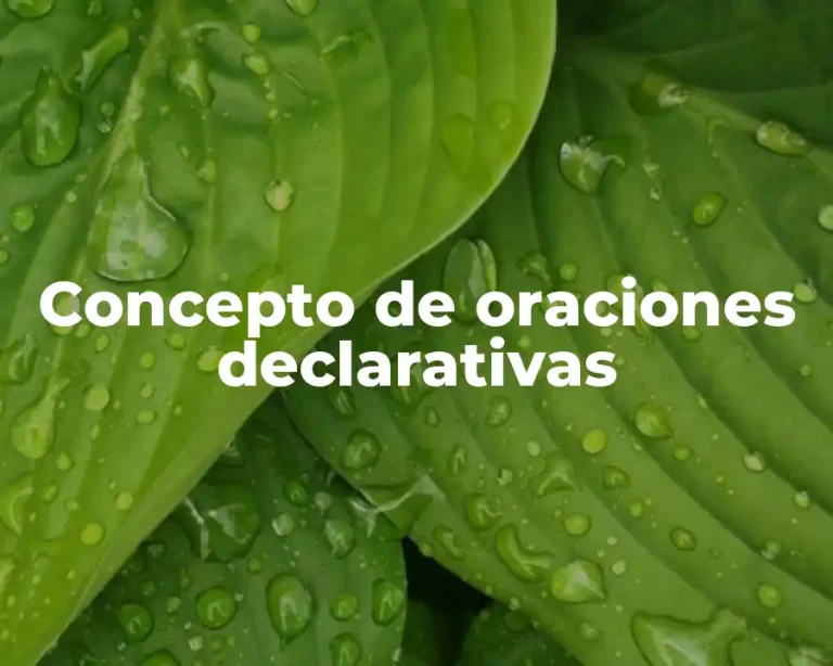 Concepto de oraciones declarativas