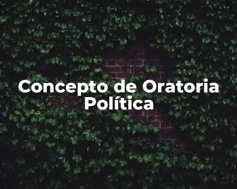 Concepto de Oratoria Política