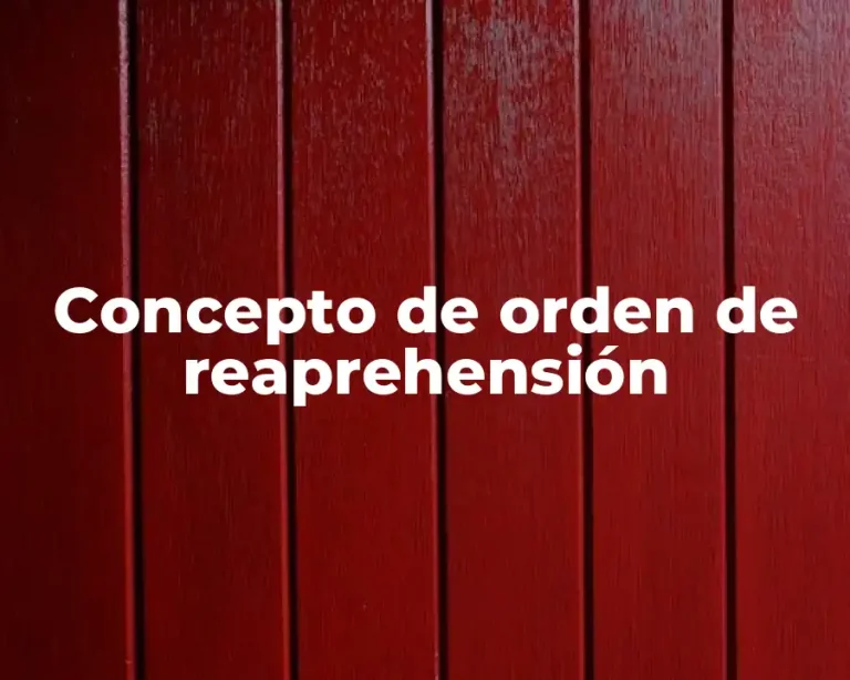 Concepto de orden de reaprehensión