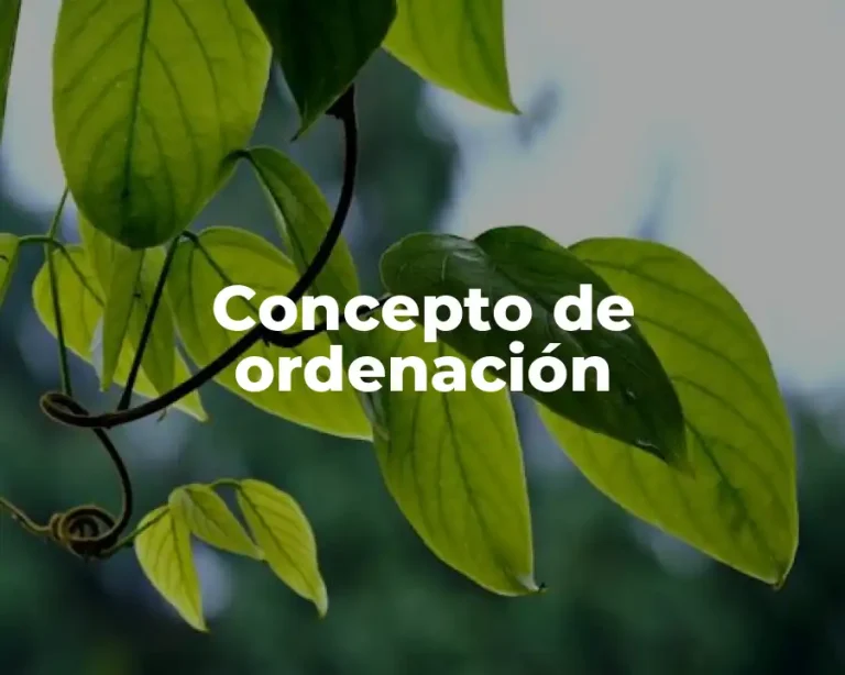 Concepto de ordenación