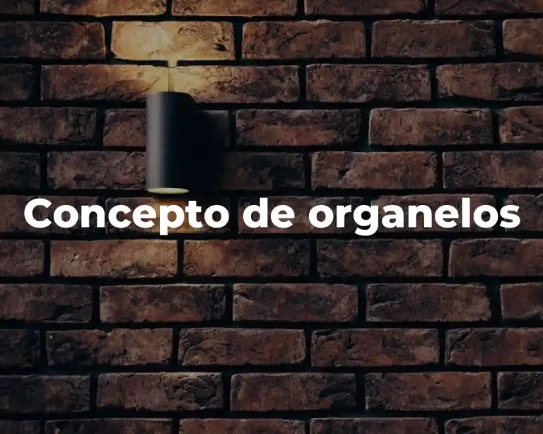 Concepto de organelos