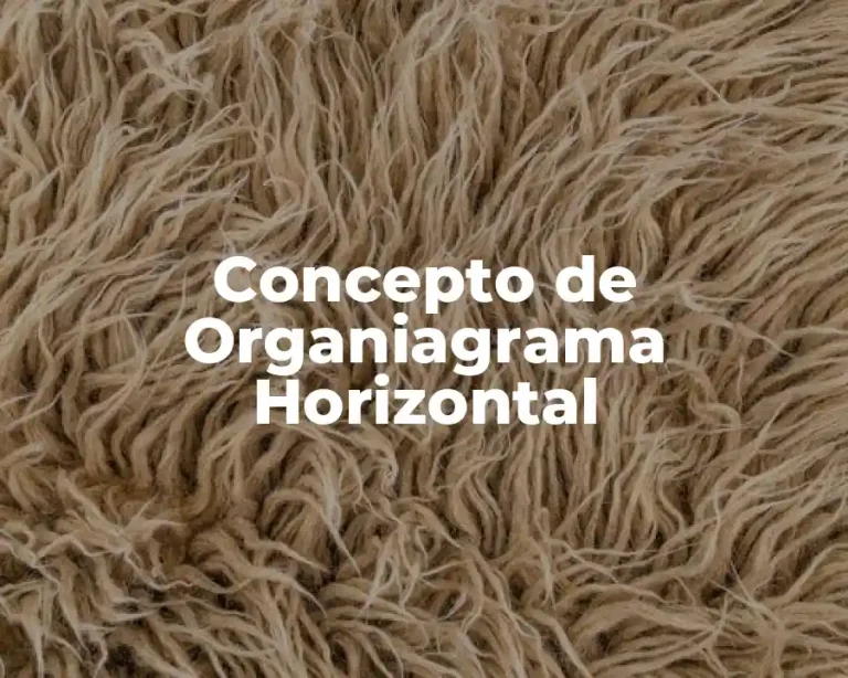 Concepto de Organiagrama Horizontal