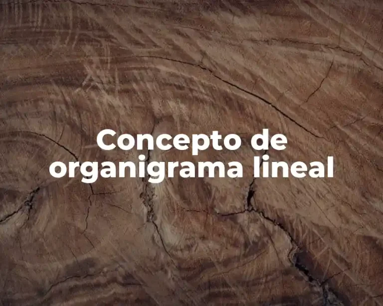 Concepto de organigrama lineal
