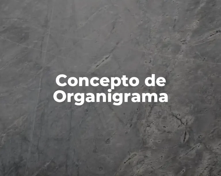 Concepto de Organigrama