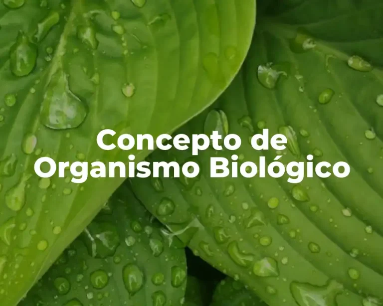 Concepto de Organismo Biológico