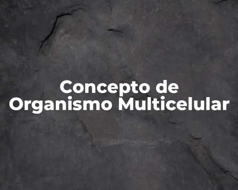 Concepto de Organismo Multicelular